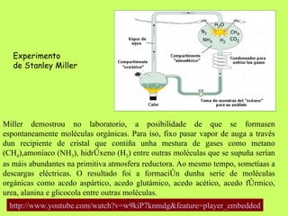 Miller demostrou no laboratorio, a posibilidade de que se formasen espontaneamente moléculas orgánicas. Para iso, fixo pasar vapor de auga a través dun recipiente de cristal que contiña unha mestura de gases como metano (CH 4 ),amoníaco (NH 3 ), hidróxeno (H 2 ) entre outras moléculas que se supuña serían as máis abundantes na primitiva atmosfera reductora. Ao mesmo tempo, sometíaas a descargas eléctricas. O resultado foi a formación dunha serie de moléculas orgánicas como acedo aspártico, acedo glutámico, acedo acético, acedo fórmico, urea, alanina e glicocola entre outras moléculas.  Experimento  de  Stanley Miller http:// www.youtube.com / watch?v = w9kiP7knmdg & feature = player_embedded 
