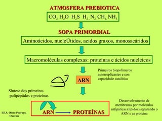 ATMOSFERA PREBIOTICA CO 2  H 2 O  H 2 S  H 2 ,  N 2  CH 4,  NH 3 SOPA PRIMORDIAL Aminoácidos, nucleótidos, acidos graxos, monosacáridos Macromoléculas complexas: proteínas e ácidos nucleicos ARN Primeiros biopolímeros autorreplicantes e con capacidade catalítica Síntese dos primeiros polipéptidos e proteínas Desenvolvemento de membranas por moléculas anfipáticas (lípidos) separando o ARN e as proteína ARN   PROTEÍNAS I.E.S. Otero Pedrayo.  Ourense 