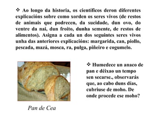 Humedece un anaco de pan e déixao un tempo sen secarse., observarás que, ao cabo duns días, cubriuse de moho. De onde procede ese moho?   Pan de Cea Ao longo da historia, os científicos deron diferentes explicacións sobre como xorden os seres vivos (de restos de animais que podrecen, da sucidade, dun ovo, do ventre da nai, dun froito, dunha semente, de restos de alimentos). Asigna a cada un dos seguintes seres vivos unha das anteriores explicacións: margarida, can, piollo, pescada, mazá, mosca, ra, pulga, piñeiro e cogumelo. 