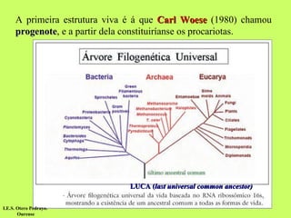 A primeira estrutura viva é á que  Carl Woese  (1980) chamou  progenote , e a partir dela constituiríanse os procariotas.  LUCA ( last universal common ancestor) I.E.S. Otero Pedrayo.  Ourense 