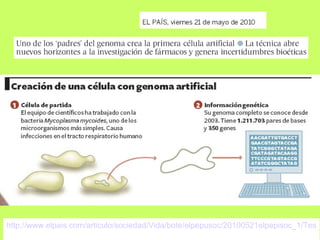 http://www.elpais.com/articulo/sociedad/Vida/bote/elpepusoc/20100521elpepisoc_1/Tes 