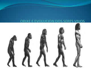 A ORIXE DA VIDA E A
EVOLUCIÓN
 