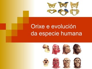 Orixe e evolución
da especie humana
 
