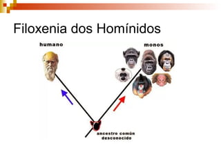 Filoxenia dos Homínidos
 
