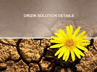 ORIZIN SOLUTION DETAILS

 