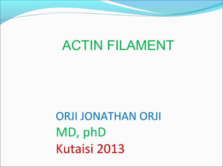 ORJI JONATHAN ORJI
MD, phD
Kutaisi 2013
ACTIN FILAMENT
 