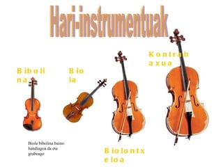 Bibolina Biola Biola bibolina baino handiagoa da eta grabeago Biolontxeloa Hari-instrumentuak Kontrabaxua 