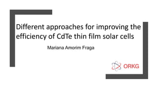 Different approaches for improving the
efficiency of CdTe thin film solar cells
Mariana Amorim Fraga
 