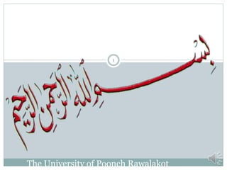 The University of Poonch Rawalakot
1
 