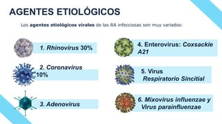 ANATOMIA, FISIOLOGIA DE LA NARIZ Y SENOS PARANASALES | PPTX