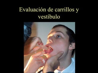 Evaluación de carrillos y vestíbulo 