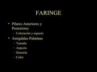 FARINGE Pilares Anteriores y Posteriores Coloración y aspecto Amigdalas Palatinas Tamaño Aspecto Simetría Color 