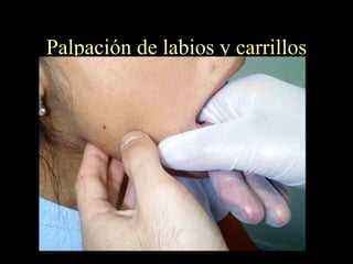 Palpación de labios y carrillos 