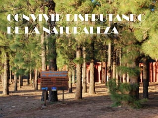 CONVIVIR DISFRUTANDO DE LA NATURALEZA
