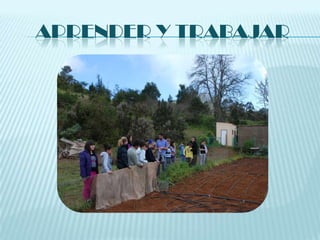 APRENDER Y TRABAJAR