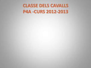 CLASSE DELS CAVALLS
P4A -CURS 2012-2013
 