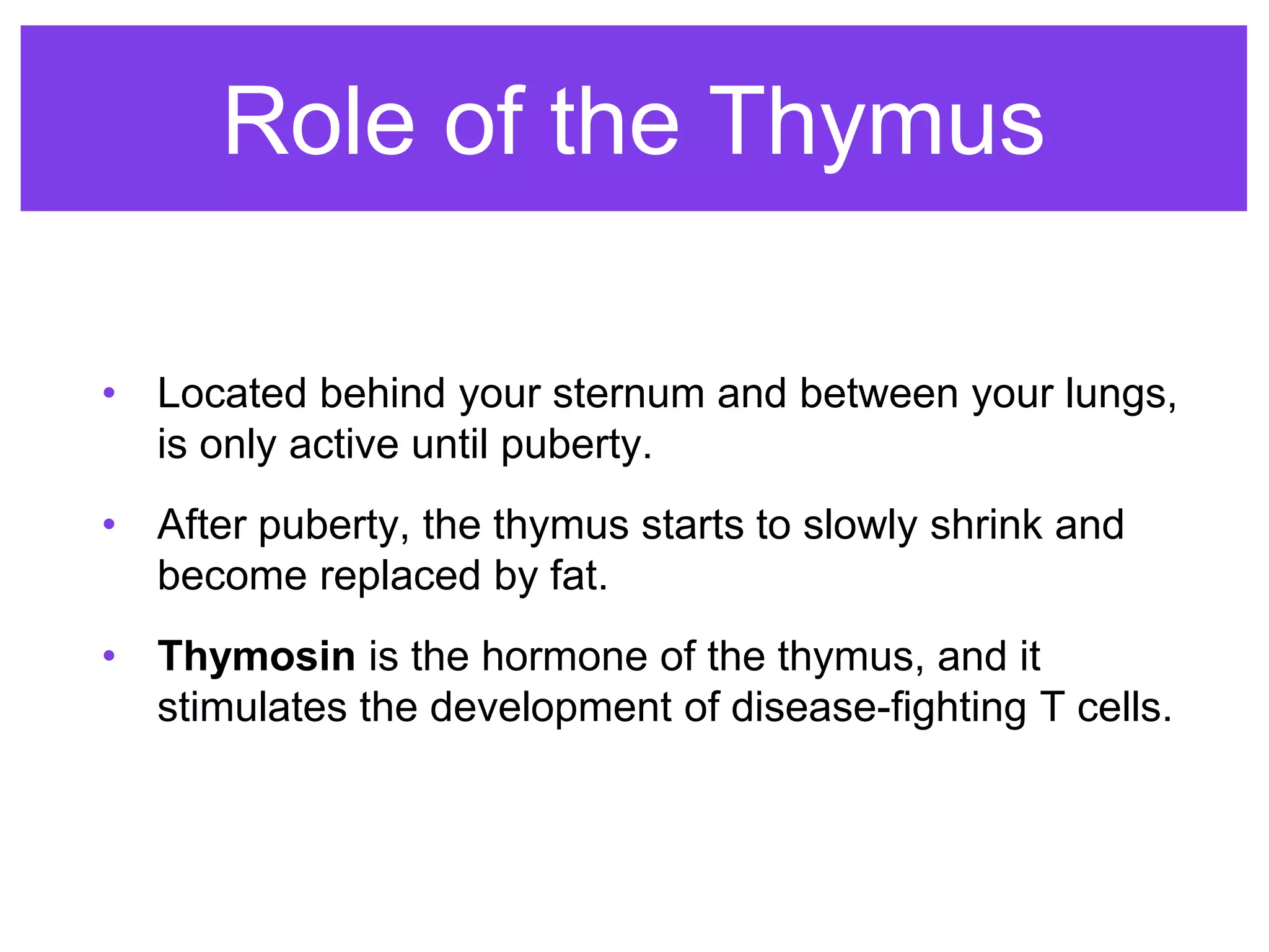 Role of the Thymus
• Located behind your sternum and between your lungs,
is only active until puberty.
• After puberty, the thymus starts to slowly shrink and
become replaced by fat.
• Thymosin is the hormone of the thymus, and it
stimulates the development of disease-fighting T cells.
 