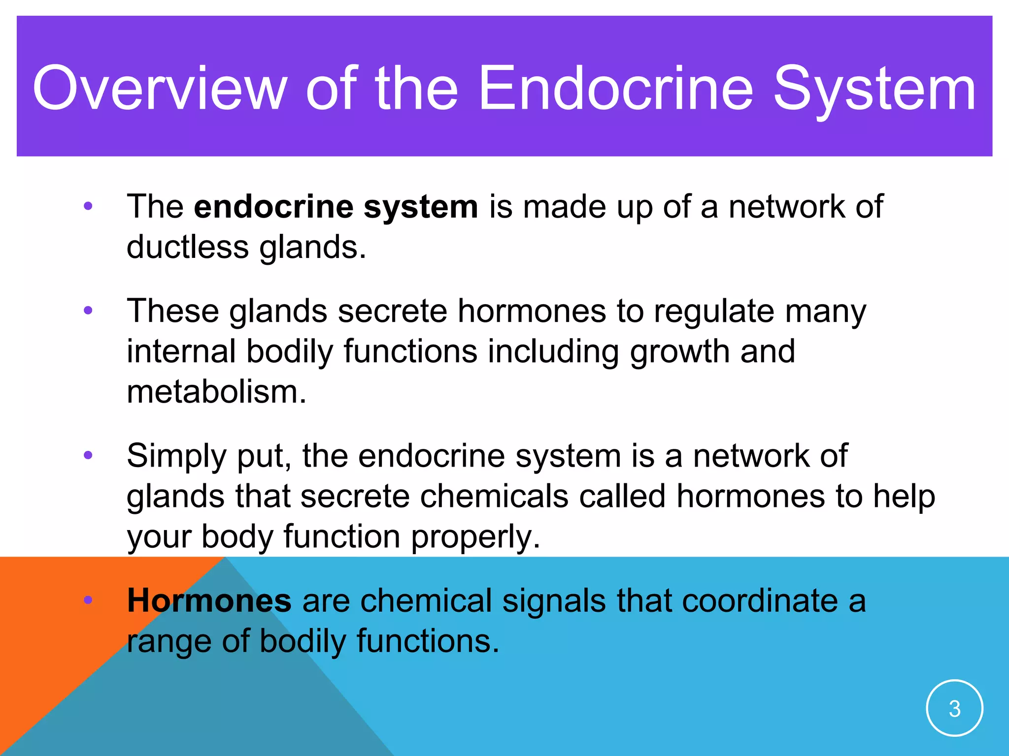 • The endocrine system is made up of a network of
ductless glands.
• These glands secrete hormones to regulate many
internal bodily functions including growth and
metabolism.
• Simply put, the endocrine system is a network of
glands that secrete chemicals called hormones to help
your body function properly.
• Hormones are chemical signals that coordinate a
range of bodily functions.
3
Overview of the Endocrine System
 