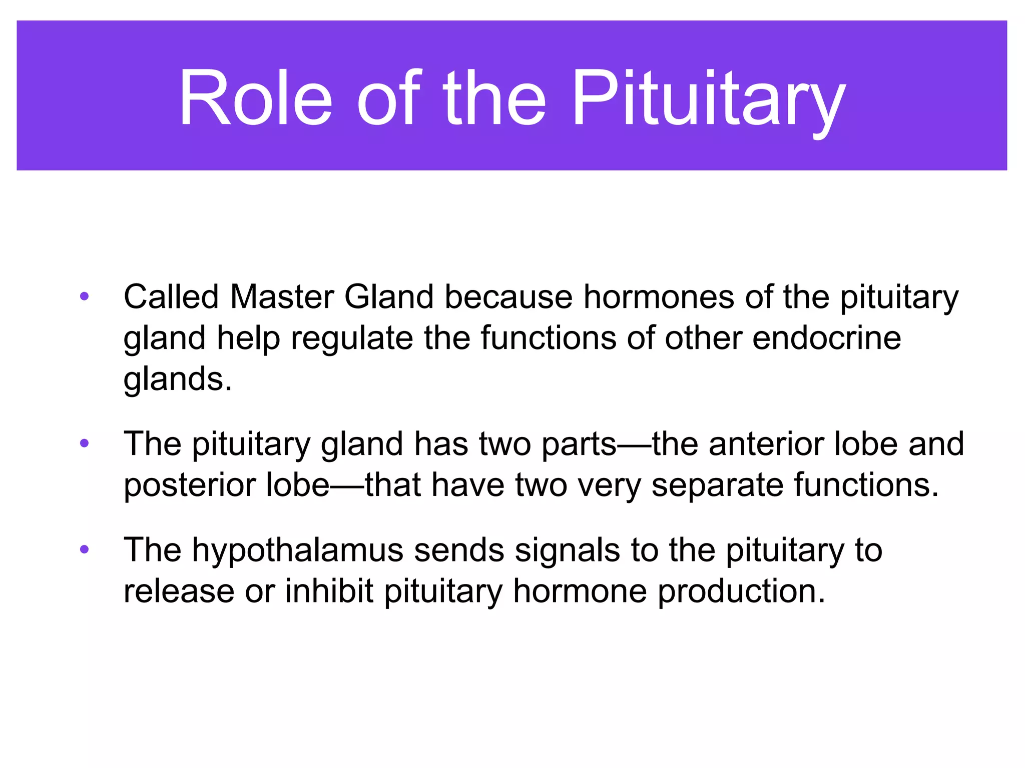 Role of the Pituitary
• Called Master Gland because hormones of the pituitary
gland help regulate the functions of other endocrine
glands.
• The pituitary gland has two parts—the anterior lobe and
posterior lobe—that have two very separate functions.
• The hypothalamus sends signals to the pituitary to
release or inhibit pituitary hormone production.
 