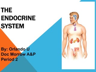 THE
ENDOCRINE
SYSTEM
By: Orlando U
Doc Morrow A&P
Period 2
 