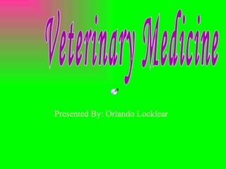 Presented By: Orlando Locklear Veterinary Medicine 