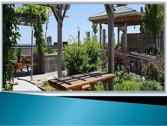 landscape design company