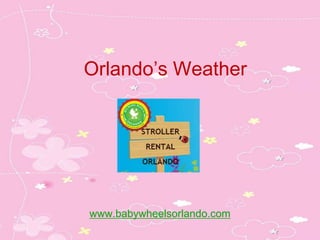 Orlando’s Weather




www.babywheelsorlando.com
 