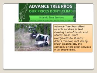 Advance Tree Pros offers
reliable services in land
clearing too in Orlando and
nearby areas. From
overgrowths to stumps,
debris removal, root raking,
brush clearing etc, the
company offers great services
in all these fields.
 