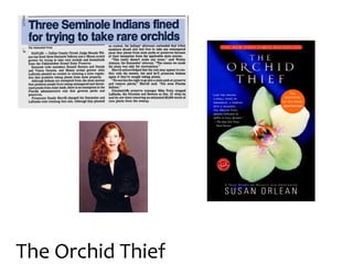 The Orchid Thief
 