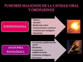 •   Tabaco
                •   Alcohol
                •   Radiación solar
ETIOPATOGENIA   •   Traumatismos crónicos
                •   Lesiones pre malignas
                •   Nutrición



                • Carcinoma epidermoide
                  (90%)
  ANATOMÌA      • Basiloma
                • Carcinoma
 PATOLÒGICA       indiferenciado
                • Linfomas malignos
                • Sarcomas
 
