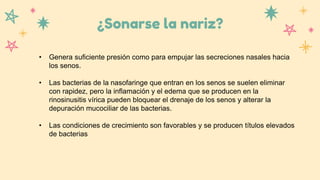 ¿Sonarse la nariz?
• Genera suficiente presión como para empujar las secreciones nasales hacia
los senos.
• Las bacterias de la nasofaringe que entran en los senos se suelen eliminar
con rapidez, pero la inflamación y el edema que se producen en la
rinosinusitis vírica pueden bloquear el drenaje de los senos y alterar la
depuración mucociliar de las bacterias.
• Las condiciones de crecimiento son favorables y se producen títulos elevados
de bacterias
 