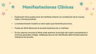 Manifestaciones Clínicas
• Exploración física puede poner de manifiesto eritema con tumefacción de la mucosa
nasal y rinorrea purulenta.
• La transiluminación muestra un seno opaco que transmite poco la luz.
• Puede ser difícil diferenciar la sinusitis bacteriana de un resfriado.
• En los catarros comunes la fiebre suele aparecer al principio del cuadro acompañando a
síntomas generales (mialgia, cefalea)aunque se han identificado determinados patrones
indicativos de sinusitis.
 