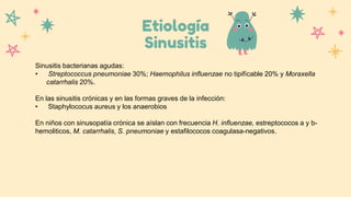 Etiología
Sinusitis
Sinusitis bacterianas agudas:
• Streptococcus pneumoniae 30%; Haemophilus influenzae no tipifícable 20% y Moraxella
catarrhalis 20%.
En las sinusitis crónicas y en las formas graves de la infección:
• Staphylococus aureus y los anaerobios
En niños con sinusopatía crónica se aíslan con frecuencia H. influenzae, estreptococos a y b-
hemoliticos, M. catarrhalis, S. pneumoniae y estafilococos coagulasa-negativos.
 