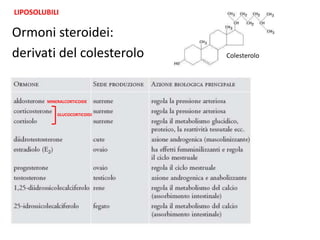 LIPOSOLUBILI 
Ormoni steroidei: 
derivati del colesterolo Colesterolo 
MINERALCORTICOIDE 
GLUCOCORTICOIDI 
 