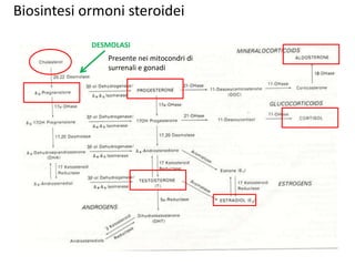 Biosintesi ormoni steroidei 
DESMOLASI 
Presente nei mitocondri di 
surrenali e gonadi 
 
