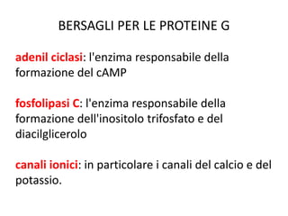 BERSAGLI PER LE PROTEINE G 
adenil ciclasi: l'enzima responsabile della 
formazione del cAMP 
fosfolipasi C: l'enzima responsabile della 
formazione dell'inositolo trifosfato e del 
diacilglicerolo 
canali ionici: in particolare i canali del calcio e del 
potassio. 
 