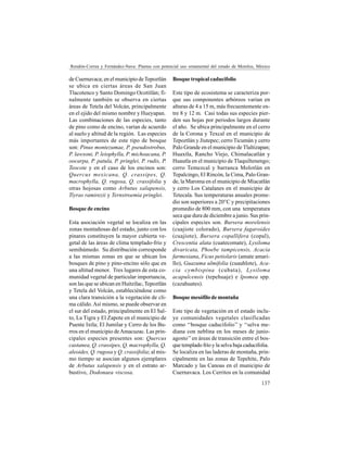 137
Rendón-Correa y Fernández-Nava: Plantas con potencial uso ornamental del estado de Morelos, México
de Cuernavaca; en el municipio deTepoztlán
se ubica en ciertas áreas de San Juan
Tlacotenco y Santo Domingo Ocotitlán; fi-
nalmente también se observa en ciertas
áreas de Tetela del Volcán, principalmente
en el ejido del mismo nombre y Hueyapan.
Las combinaciones de las especies, tanto
de pino como de encino, varían de acuerdo
al suelo y altitud de la región. Las especies
más importantes de este tipo de bosque
son: Pinus montezumae, P. pseudostrobus,
P. lawsoni, P. leiophylla, P. michoacana, P.
oocarpa, P. patula, P. pringlei, P. rudis, P.
Teocote y en el caso de los encinos son:
Quercus mexicana, Q. crassipes, Q.
macrophylla, Q. rugosa, Q. crassifolia y
otras hojosas como Arbutus xalapensis,
Tiyras ramirezii y Ternstroemia pringlei.
Bosque de encino
Esta asociación vegetal se localiza en las
zonas montañosas del estado, junto con los
pinares constituyen la mayor cubierta ve-
getal de las áreas de clima templado-frío y
semihúmedo. Su distribución corresponde
a las mismas zonas en que se ubican los
bosques de pino y pino-encino sólo que en
una altitud menor. Tres lugares de esta co-
munidad vegetal de particular importancia,
son las que se ubican en Huitzilac, Tepoztlán
y Tetela del Volcán, estableciéndose como
una clara transición a la vegetación de cli-
ma cálido.Así mismo, se puede observar en
el sur del estado, principalmente en El Sal-
to, La Tigra y El Zapote en el municipio de
Puente Ixtla; El Jumilar y Cerro de los Bu-
rros en el municipio deAmacuzac. Las prin-
cipales especies presentes son: Quercus
castanea, Q. crassipes, Q. macrophylla, Q.
aleoides, Q. rugosa y Q. crassifolia; al mis-
mo tiempo se asocian algunos ejemplares
de Arbutus xalapensis y en el estrato ar-
bustivo, Dodonaea viscosa.
Bosque tropical caducifolio
Este tipo de ecosistema se caracteriza por-
que sus componentes arbóreos varían en
alturas de 4 a 15 m, más frecuentemente en-
tre 8 y 12 m. Casi todas sus especies pier-
den sus hojas por periodos largos durante
el año. Se ubica principalmente en el cerro
de la Corona y Texcal en el municipio de
Tepoztlán y Jiutepec; cerro Ticumán y cerro
Palo Grande en el municipio de Tlaltizapan;
Huaxtla, Rancho Viejo, Chimalacatlán y
Huautla en el municipio de Tlaquiltenengo;
cerro Temezcal y barranca Molotlán en
Tepalcingo, El Rincón, la Cima, Palo Gran-
de, la Maroma en el municipio de Miacatlán
y cerro Los Catalanes en el municipio de
Tetecala. Sus temperaturas anuales prome-
dio son superiores a 20°C y precipitaciones
promedio de 800 mm, con una temperatura
seca que dura de diciembre a junio. Sus prin-
cipales especies son. Bursera morelensis
(cuajiote colorado), Bursera fagaroides
(cuajiote), Bursera copallifera (copal),
Crescentia alata (cuatecomate), Lysiloma
divaricata, Phoebe tampicensis, Acacia
farmesiana, Ficus petiolaris (amate amari-
llo), Guazuma ulmifolia (cuauhlote), Aca-
cia cymbispina (cubata), Lysiloma
acapulcensis (tepehuaje) e Ipomea spp.
(cazahuates).
Bosque mesófilo de montaña
Este tipo de vegetación en el estado inclu-
ye comunidades vegetales clasificadas
como ‘‘bosque caducifolio’’ y ‘‘selva me-
diana con neblina en los meses de junio-
agosto’’en áreas de transición entre el bos-
que templado frío y la selva baja caducifolia.
Se localiza en las laderas de montaña, prin-
cipalmente en las zonas de Tepehite, Palo
Marcado y las Canoas en el municipio de
Cuernavaca. Los Cerritos en la comunidad
 
