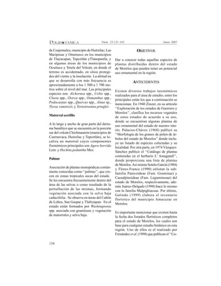 138
Junio 2007Núm. 23:121-165
de Coajomulco, municipio de Huitzilac; Las
Mariposas y Ometuzco en los municipios
de Tlayacapan, Tepoztlán yTlanepantla, y
en algunas áreas de los municipios de
Ocuituco y Tetela del Volcán, en donde el
terreno es accidentado, en sitios protegi-
dos del viento y la insolación. La altitud en
que se desarrolla con más frecuencia es
aproximadamente a los 1 500 a 1 700 me-
tros sobre el nivel del mar. Las principales
especies son: Alchornea spp., Celtis spp.,
Clusia spp., Ostrya spp., Osmanthus spp.,
Podocarpus spp., Quercus spp., Alnus sp.,
Tiyras ramirezii, y Ternstroemia pringlei.
Matorral xerófilo
A lo largo y ancho de gran parte del derra-
me basáltico que se encuentra en la porción
sur del volcán Chichinautzin (municipios de
Cuernavaca, Huitzilac y Tepoztlán), se lo-
caliza un matorral cuyos componentes
fisonómicos principales son Agave horrida
Lem. y Hechita podantha Mez.
Palmar
Asociación de plantas monopódicas común-
mente conocidas como ‘‘palmas’’, que cre-
cen en zonas tropicales secas del estado.
Se les encuentra frecuentemente dentro del
área de las selvas o como resultado de la
perturbación de las mismas, formando
vegetación asociada con la selva baja
caducifolia. Se observa en áreas del Cañón
de Lobos, San Gaspar y Tlaltizapan. En el
estado están formados por Washingtonia
spp. asociada con gramíneas y vegetación
de matorrales y selva baja.
OBJETIVOS
Dar a conocer todas aquellas especies de
plantas distribuidas dentro del estado
de Morelos que pueden tener un potencial
uso ornamental en la región.
ANTECEDENTES
Existen diversos trabajos taxonómicos
realizados para el área de estudio, entre los
principales están los que a continuación se
mencionan. En 1940 Zinzer, en su artículo
‘‘Exploración de los estados de Guerrero y
Morelos’’, clasifica los recursos vegetales
de estos estados de acuerdo a su uso,
donde se encuentran algunas plantas de
uso ornamental del estado de nuestro inte-
rés. Palacios-Chávez (1968) publicó su
‘‘Morfología de los granos de polen de ár-
boles del estado de Morelos’’ donde inclu-
ye un listado de especies colectadas y su
localidad. Por otra parte, en 1974 Vázquez-
Sánchez publicó el ‘‘Catálogo de plantas
contenidas en el herbario L’ Amagatall’’,
donde proporciona una lista de plantas
de Morelos.Así mismo Sotelo-García (1984)
y Flores-Franco (1990) enlistan la sub-
familia Panicoideae (Fam. Graminae) y
Caesalpinoideae (Fam. Leguminosae) del
estado de Morelos, respectivamente, ade-
más Juárez-Delgado (1998) hace lo mismo
con la familia Malpighiaceae. Por último,
Galindo (1999) elabora el inventario
florístico del municipio Amacuzac en
Morelos.
Es importante mencionar que existen hasta
la fecha dos listados florísticos completos
para el estado de Morelos, los cuales son
base para cualquier estudio botánico en esta
región. Uno de ellos es el realizado por
Fernández et al. (1998) que publican el ‘‘Lis-
 