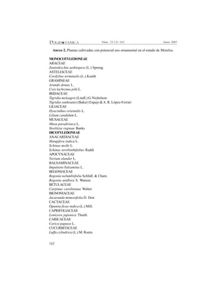 162
Junio 2007Núm. 23:121-165
Anexo 2. Plantas cultivadas con potencial uso ornamental en el estado de Morelos.
MONOCOTYLEDONEAE
ARACEAE
Zantedeschia aethiopica (L.) Spreng.
ASTELIACEAE
Cordyline terminalis (L.) Kunth
GRAMINEAE
Arundo donax L.
Coix lachryma-jobi L.
IRIDACEAE
Tigridia meleagris (Lindl.) G. Nicholson
Tigridia vanhouttei (Baker) Espejo &A. R. López-Ferrari
LILIACEAE
Hyacinthus orientalis L.
Lilium candidum L.
MUSACEAE
Musa paradisiaca L.
Strelitzia reginae Banks
DICOTYLEDONEAE
ANACARDIACEAE
Mangifera indica L.
Schinus molle L.
Schinus terebinthifolius Raddi
APOCYNACEAE
Nerium olander L.
BALSAMINACEAE
Impatiens balsamina L.
BEGONIACEAE
Begonia nelumbiifolia Schltdl. & Cham.
Begonia uniflora S. Watson
BETULACEAE
Carpinus caroliniana Walter
BIGNONIACEAE
Jacaranda mimosifolia D. Don
CACTACEAE
Opuntia ficus-indica (L.) Mill.
CAPRIFOLIACEAE
Lonicera japonica Thunb.
CARICACEAE
Carica papaya L.
CUCURBITACEAE
Luffa cylindrica (L.) M. Roem.
 