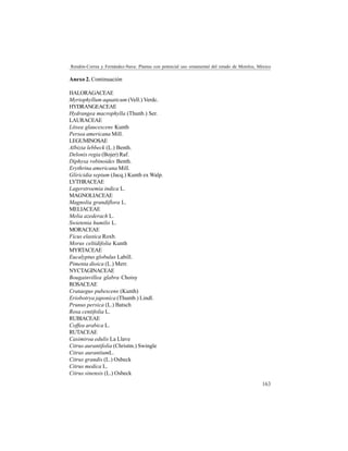 163
Rendón-Correa y Fernández-Nava: Plantas con potencial uso ornamental del estado de Morelos, México
Anexo 2. Continuación
HALORAGACEAE
Myriophyllum aquaticum (Vell.) Verdc.
HYDRANGEACEAE
Hydrangea macrophylla (Thunb.) Ser.
LAURACEAE
Litsea glaucescens Kunth
Persea americana Mill.
LEGUMINOSAE
Albizia lebbeck (L.) Benth.
Delonix regia (Bojer) Raf.
Diphysa robinoides Benth.
Erythrina americana Mill.
Gliricidia sepium (Jacq.) Kunth ex Walp.
LYTHRACEAE
Lagerstroemia indica L.
MAGNOLIACEAE
Magnolia grandiflora L.
MELIACEAE
Melia azederach L.
Swietenia humilis L.
MORACEAE
Ficus elastica Roxb.
Morus celtidifolia Kunth
MYRTACEAE
Eucalyptus globulus Labill.
Pimenta dioica (L.) Merr.
NYCTAGINACEAE
Bougainvillea glabra Choisy
ROSACEAE
Crataegus pubescens (Kunth)
Eriobotrya japonica (Thumb.) Lindl.
Prunus persica (L.) Batsch
Rosa centifolia L.
RUBIACEAE
Coffea arabica L.
RUTACEAE
Casimiroa edulis La Llave
Citrus aurantifolia (Christm.) Swingle
Citrus aurantiumL.
Citrus grandis (L.) Osbeck
Citrus medica L.
Citrus sinensis (L.) Osbeck
 