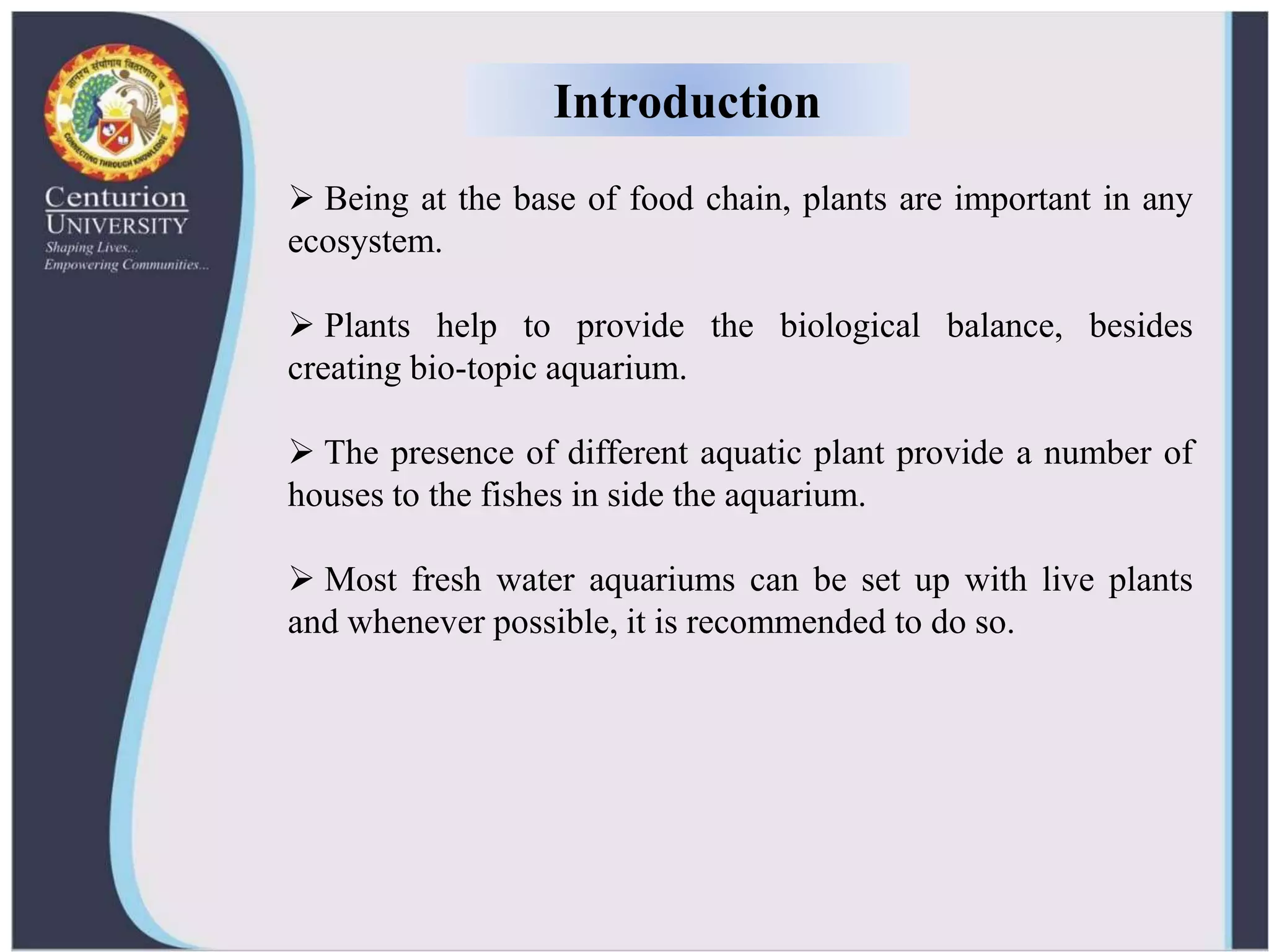 Fresh Look at Ornamental Aquatic Plants And Their Propagation