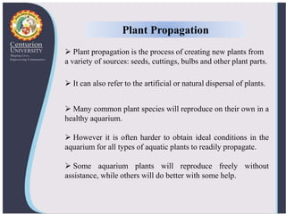 Image showcasing Ornamental aquatic plants and their propagation | PPTX