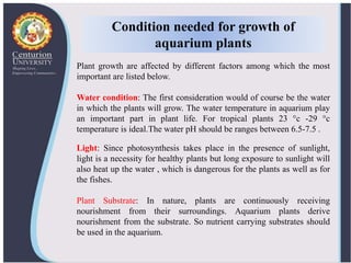 Image showcasing Ornamental aquatic plants and their propagation | PPTX