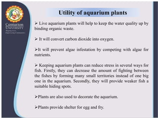 View of Ornamental aquatic plants and their propagation | PPTX