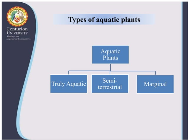 Ornamental aquatic plants and their propagation | PPTX