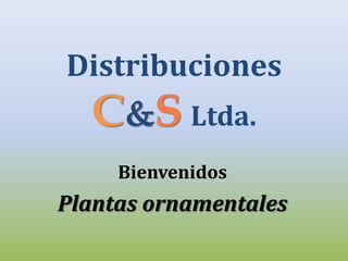 Distribuciones
  C&S Ltda.
     Bienvenidos
Plantas ornamentales
 