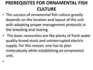 PREREQISITES FOR ORNAMENTAL FISH
CULTURE
• The success of ornamental fish culture greatly
depends on the location and layout of the unit
with adopting proper management protocols in
the breeding and rearing.
• The basic necessities are like plenty of fresh water
quality brood stock and uninterrupted electric
supply. For this reason, one has to plan
meticulously while establishing an ornamental
unit.
•
 