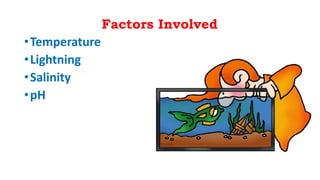 Factors Involved
•Temperature
•Lightning
•Salinity
•pH
 
