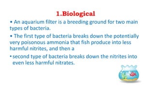 1.Biological
• An aquarium filter is a breeding ground for two main
types of bacteria.
• The first type of bacteria breaks down the potentially
very poisonous ammonia that fish produce into less
harmful nitrites, and then a
• second type of bacteria breaks down the nitrites into
even less harmful nitrates.
 