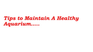 Tips to Maintain A Healthy
Aquarium…..
 